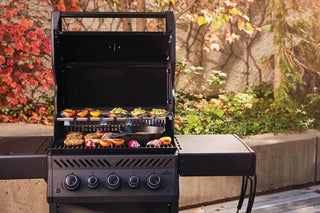 Napoleon Dujinis Grilis Phantom Rogue PRO-S 425, 2025 m., juodas matinis