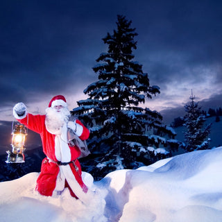 Petromax Apšvietimas Parafino lempa PETROMAX HK 500, žalvaris, aukštis 40 cm,  400 vatų šviesos srautas