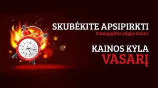 Pasinaudokite galimybe sutaupyti. Vasarį keliame kainas
