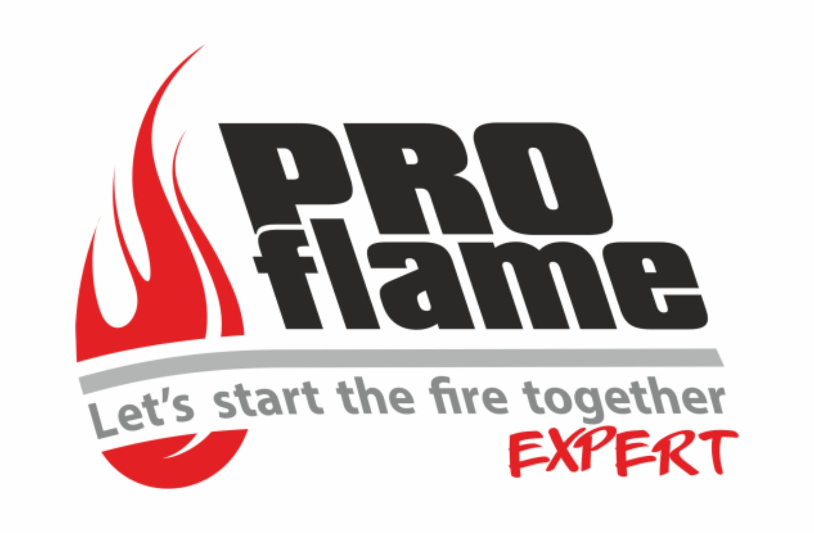 PROflame Expert – Let's start the fire together