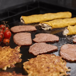 WEBER GENESIS E-335 gas grill