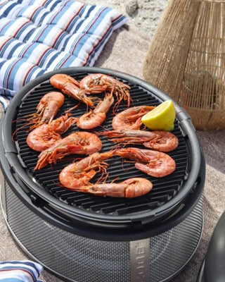 COBB Supreme Travel/Picnic söegrill