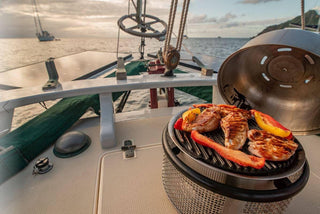 COBB Supreme Travel/Picnic söegrill