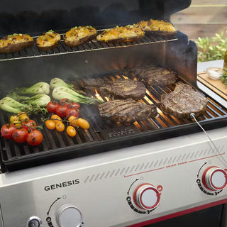 WEBER GENESIS EX-325W gas grill