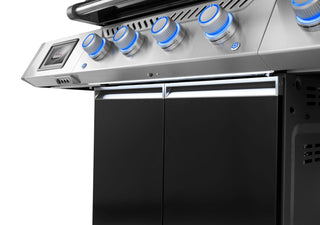 NAPOLEON Gaasigrill Prestige 500 Connected RSIB, 2025, terasvärv