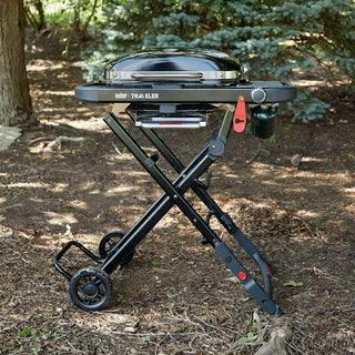 WEBER TRAVELER COMPACT Dujinis grilis
