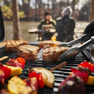 WEBER TRAVELER COMPACT Dujinis grilis