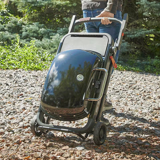 WEBER TRAVELER gāzes grils