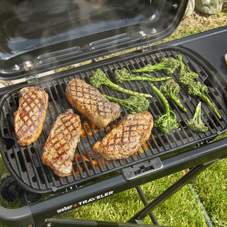 WEBER TRAVELER gāzes grils