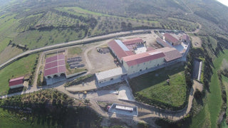 Kiti Prieskoniai ir malūnėliai Sardinijos jūros druskos dribsniai FIOR DI SALE su šafranu, 100 g