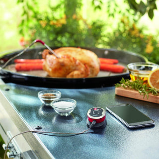 WEBER Termomeetrid Toidutermomeeter WEBER iGrill Mini, juhitav telefoni teel