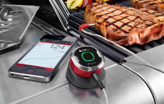 WEBER Termomeetrid Toidutermomeeter WEBER iGrill Mini, juhitav telefoni teel