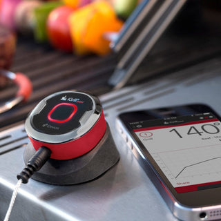 WEBER Termomeetrid Toidutermomeeter WEBER iGrill Mini, juhitav telefoni teel